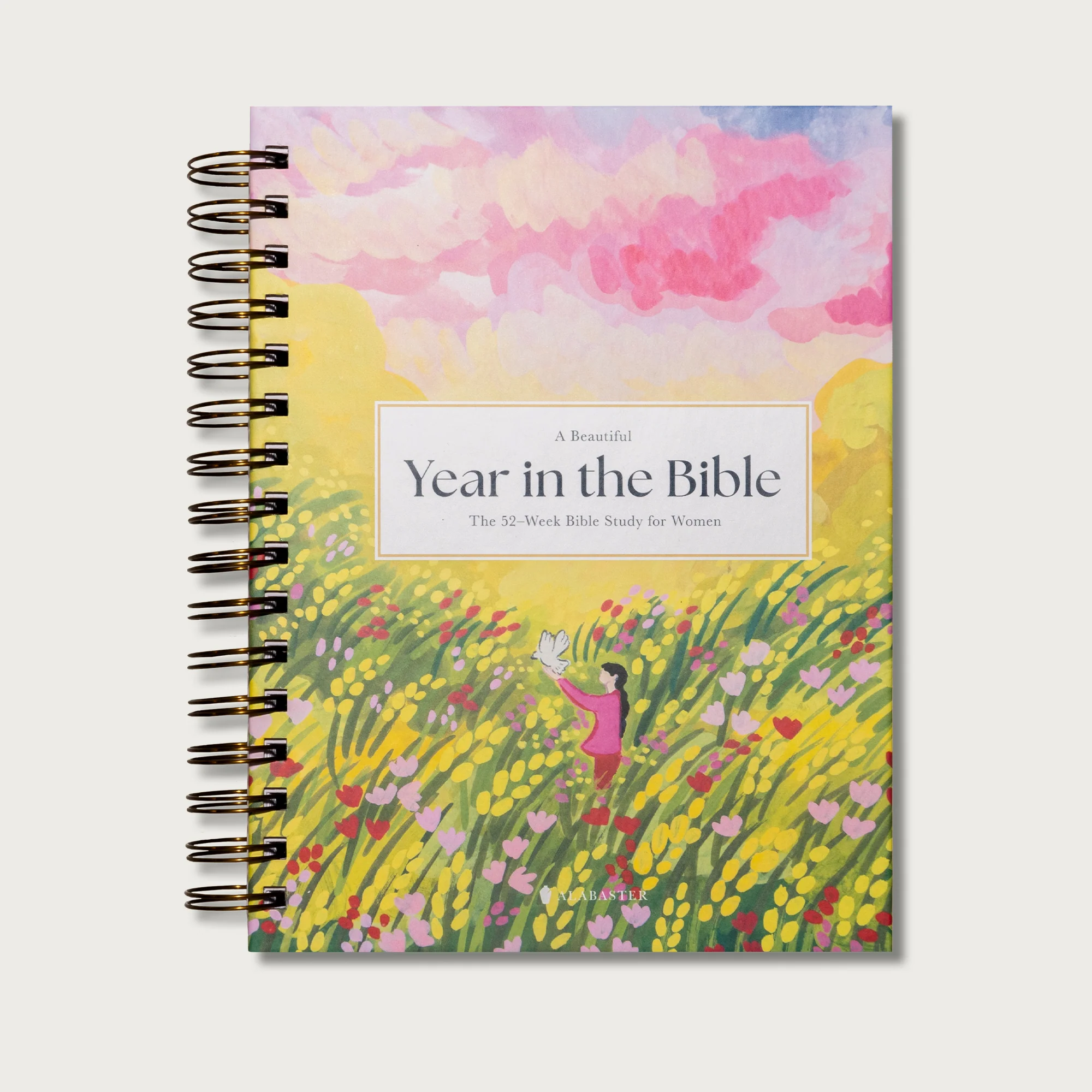 A Beautiful Year In The Bible: The 52-Week Bible Study For Women ...