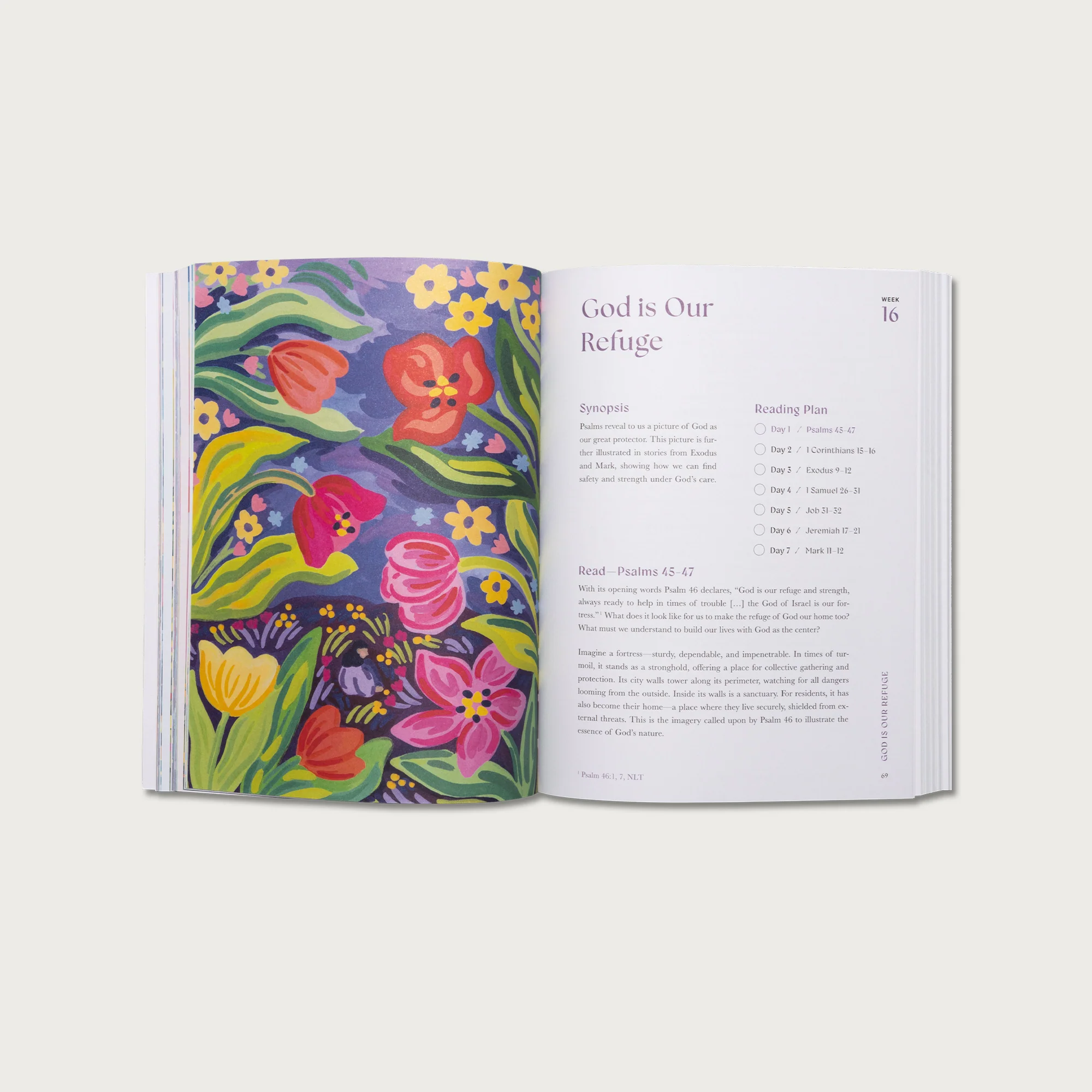 A Beautiful Year In The Bible: The 52-Week Bible Study For Women ...