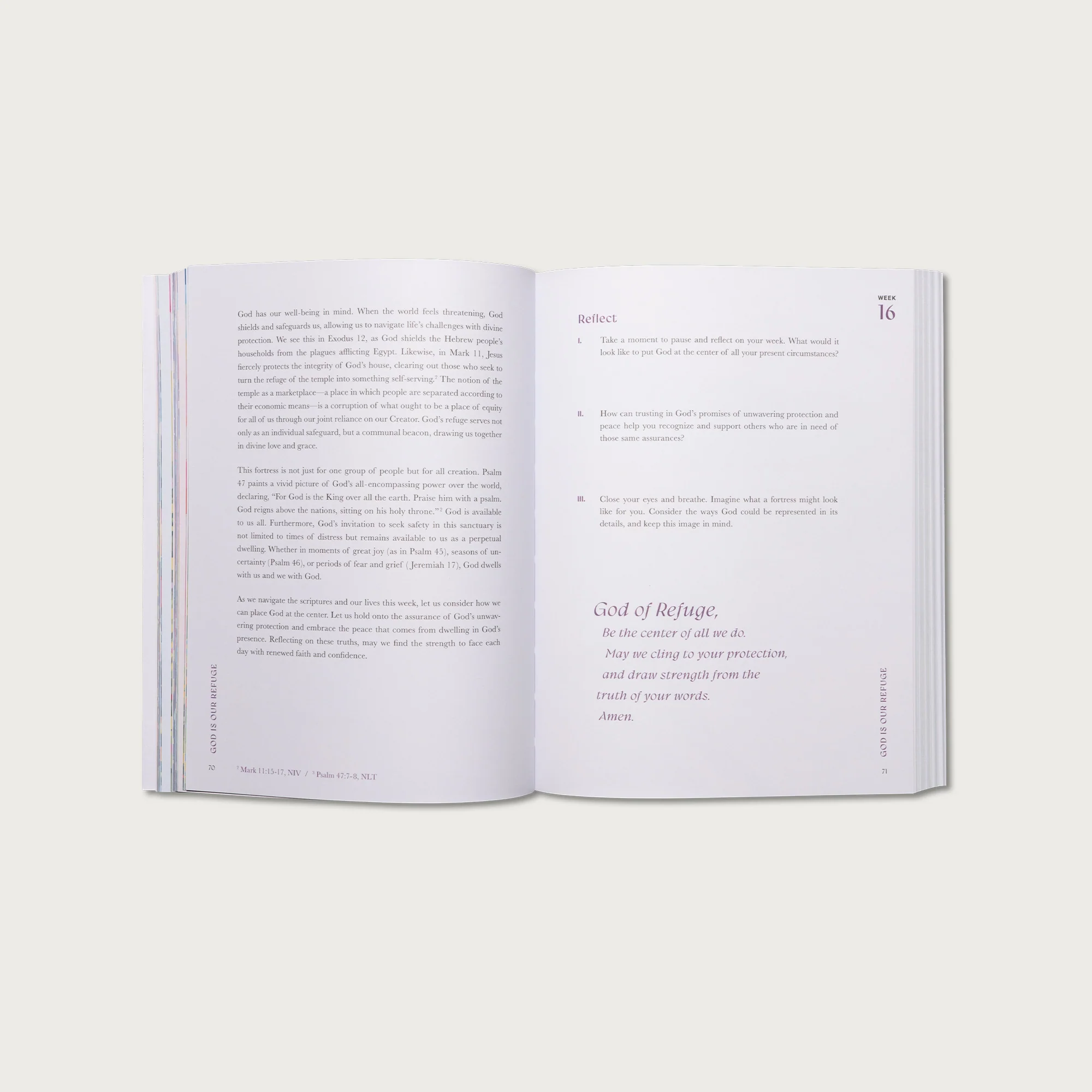 A Beautiful Year In The Bible: The 52-Week Bible Study For Women ...