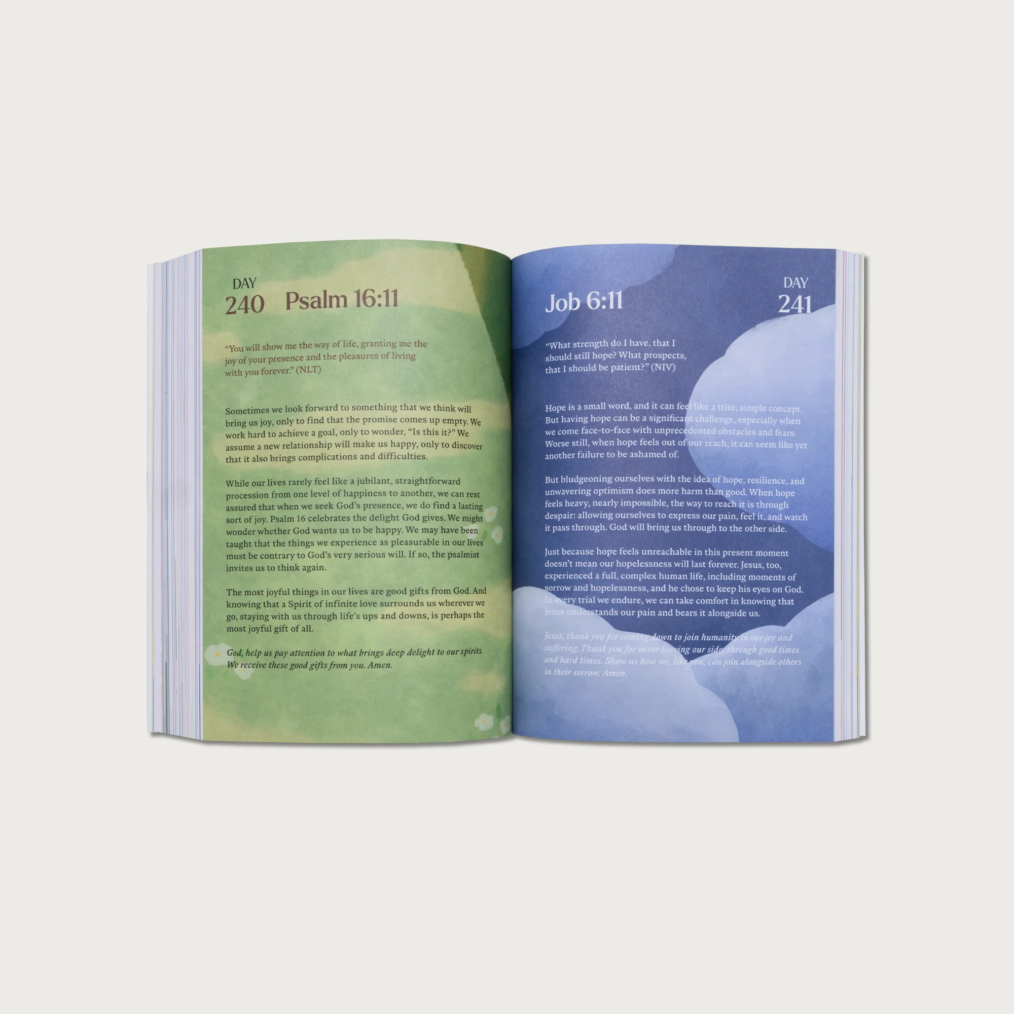 A Beautiful Year With Jesus: The 365 Day Bible Devotional - Alabaster